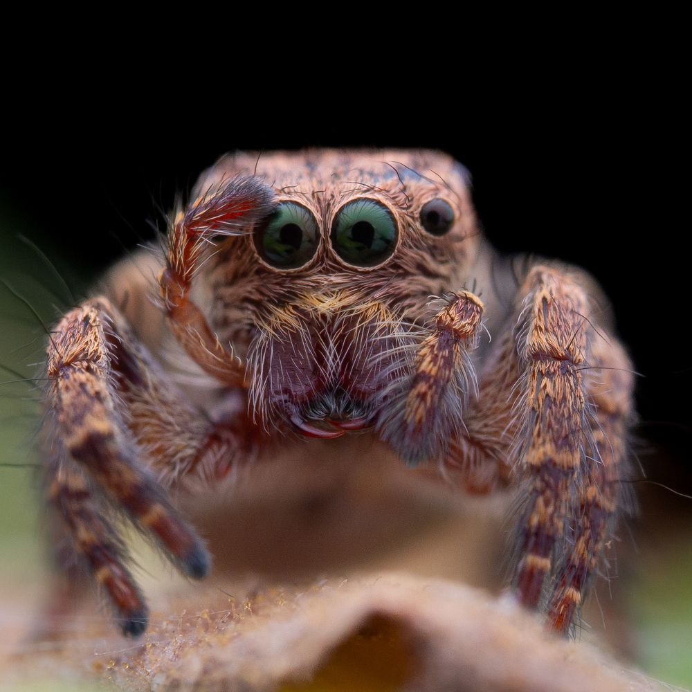 Photograph by Mohammed thbliq Azman