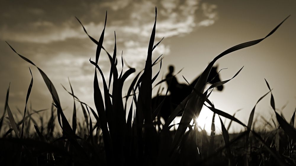 Photograph by Ирина