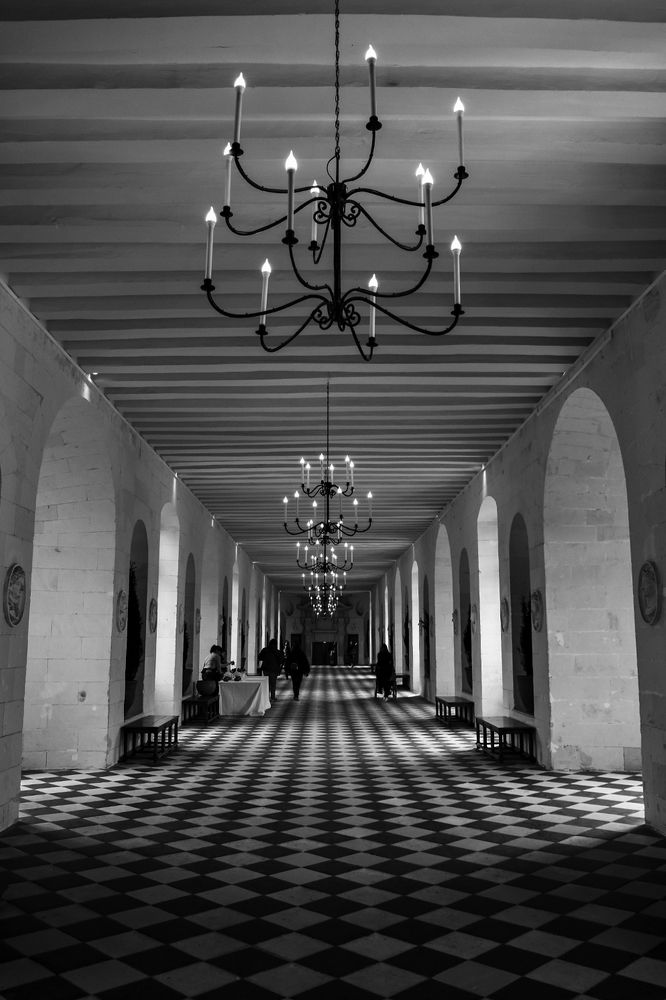 Photograph by Noe Castro