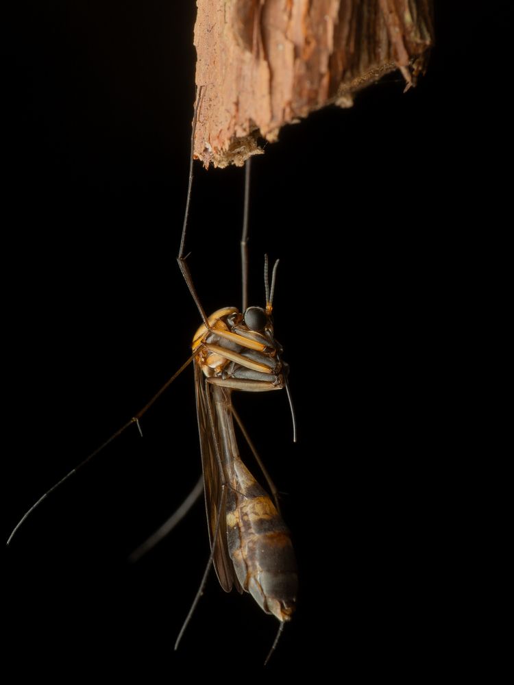 Photograph by Mohammed thbliq Azman