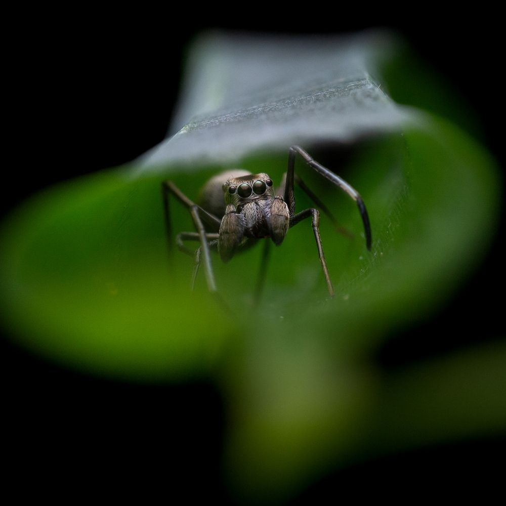 Photograph by Mohammed thbliq Azman