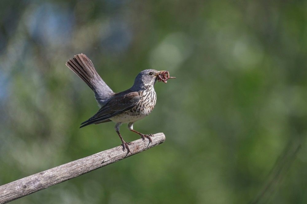 Photograph by Алексей Логинов