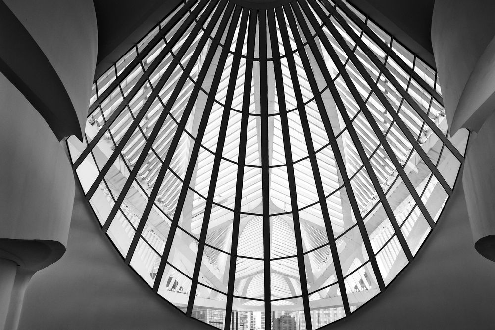 Photograph by João Paulo Tinoco