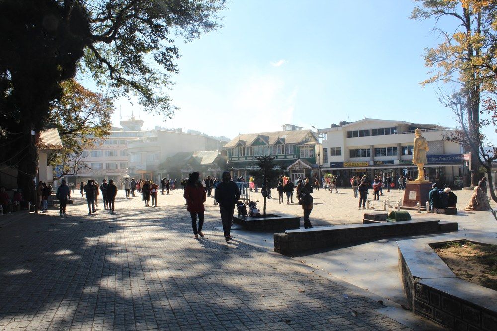 Фотография автора BIBEK chettri