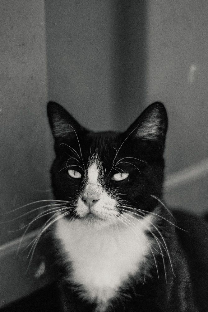 Photograph by Francisco