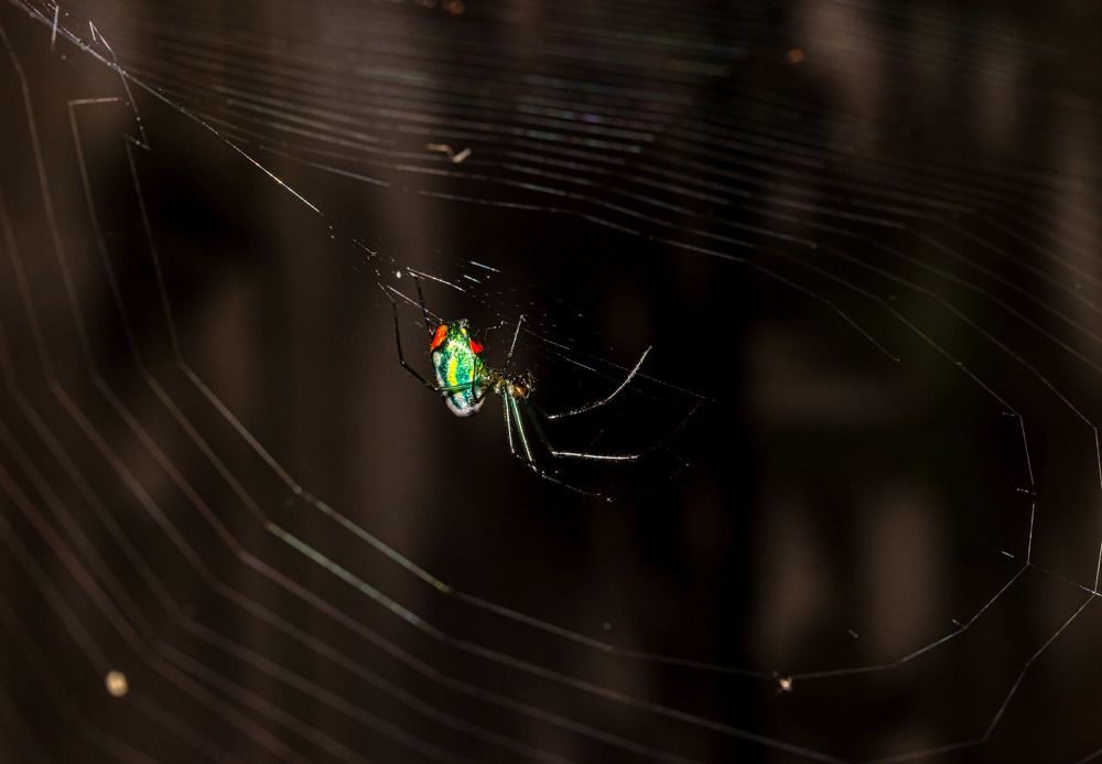 Photograph by Анатолий Костерев