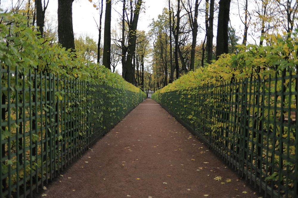 Photograph by Владимир Грибков