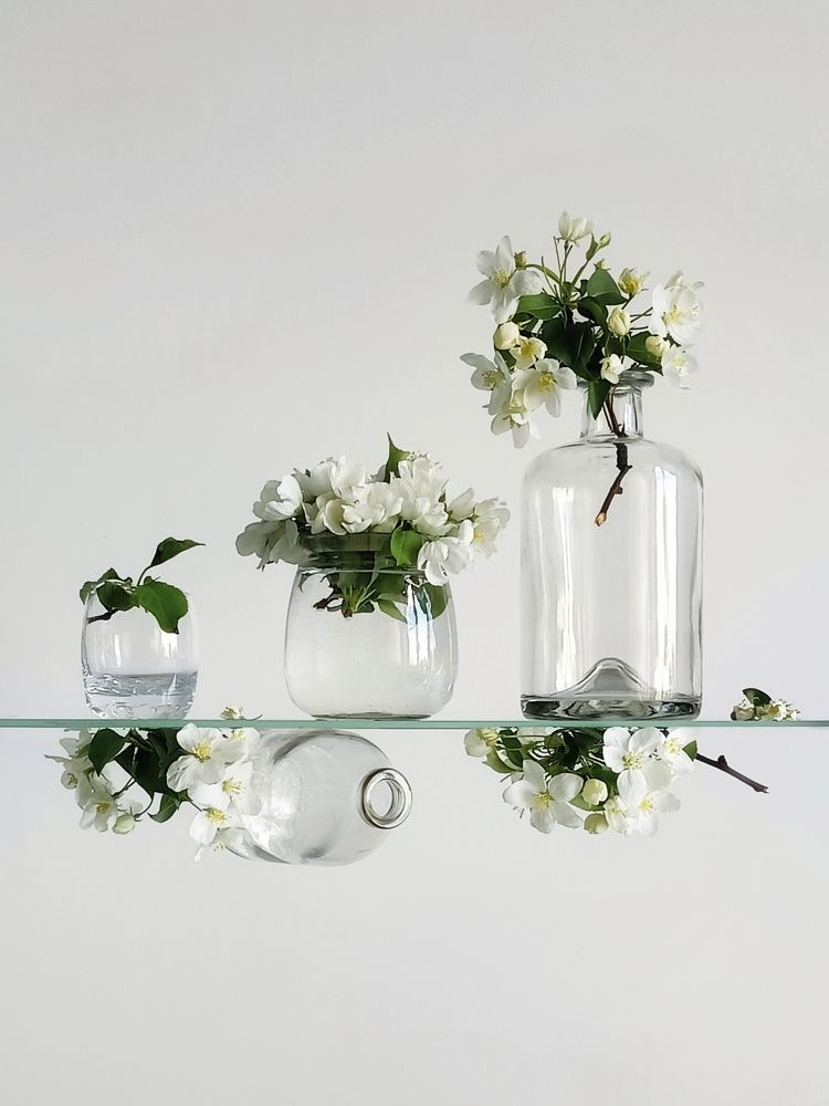 Фотография автора Татьяна Шахова