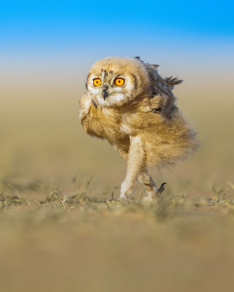 Photograph by Ahmed Sobhi