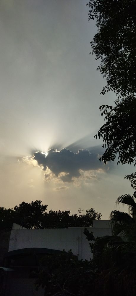 Photograph by Syed Musharaf Naqvi