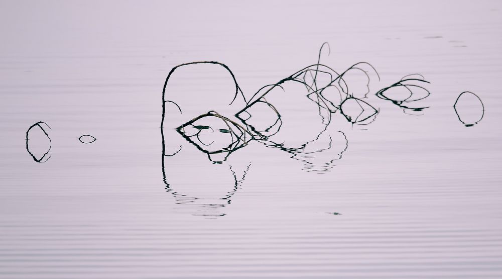 Photograph by Tran Ngoc