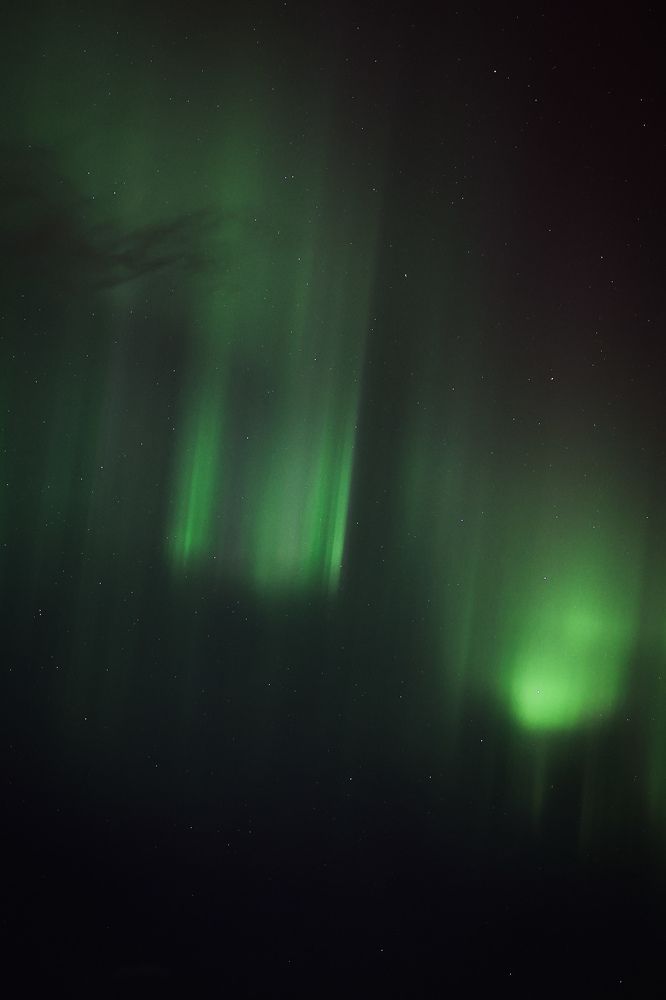 Photograph by Max Justh