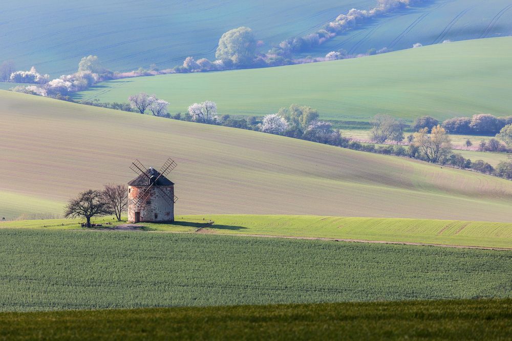 Photograph by Марина Маликова