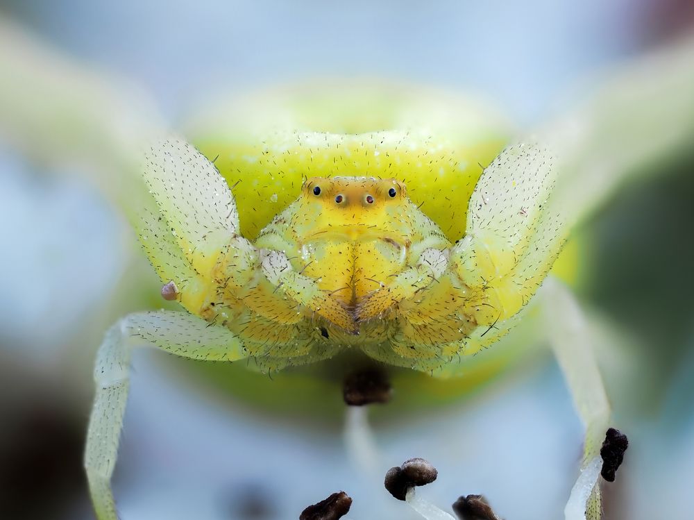 Photograph by Глеб Коровко