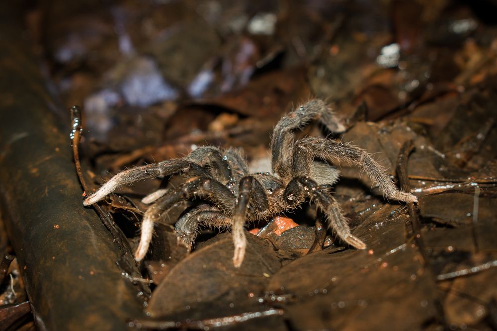 Photograph by Vikrant Khedekar