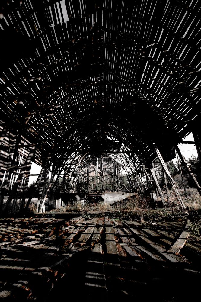 Photograph by Павел Демичев