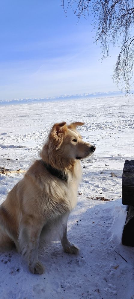 Photograph by Виктория