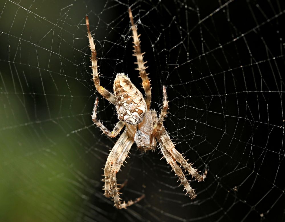 Photograph by Александр Николаев