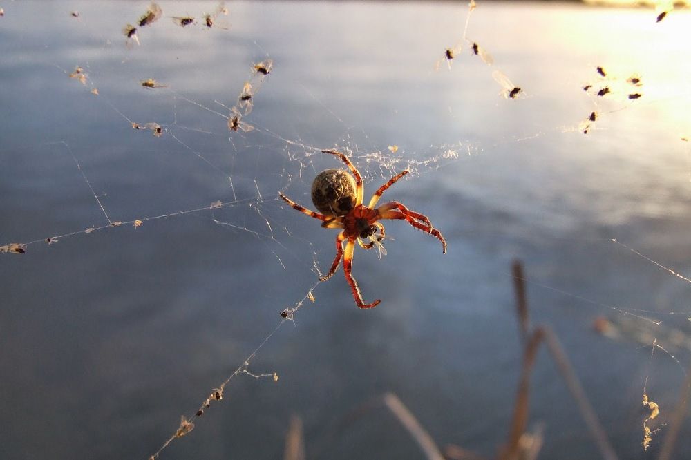 Photograph by Маргарита