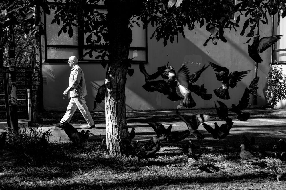 Photograph by Денис Труфанов