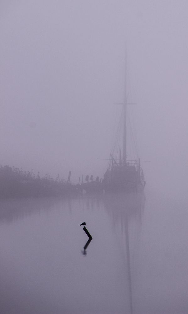 Photograph by Lev Kaufman