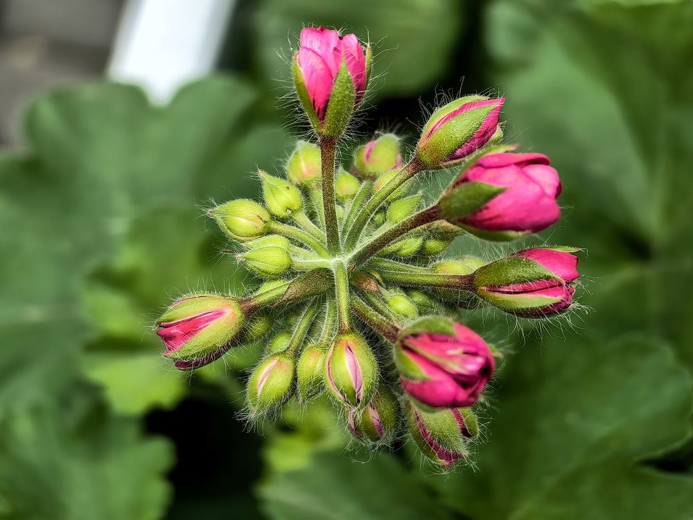 Photograph by Dragan Jekić