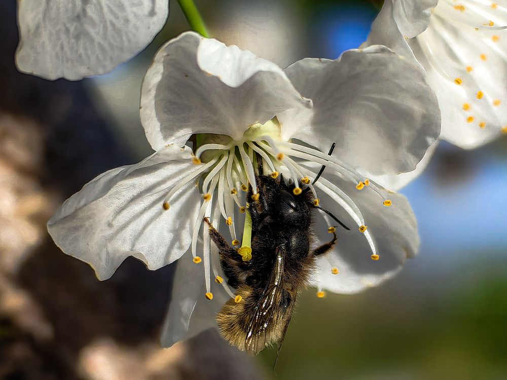 Photograph by Dragan Jekić