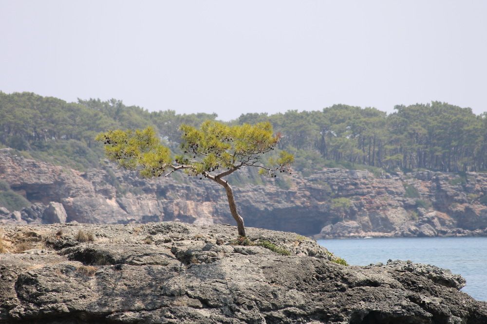 Photograph by Александр Гришин