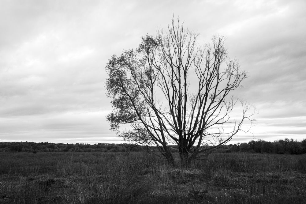 Photograph by Георгий Горшков