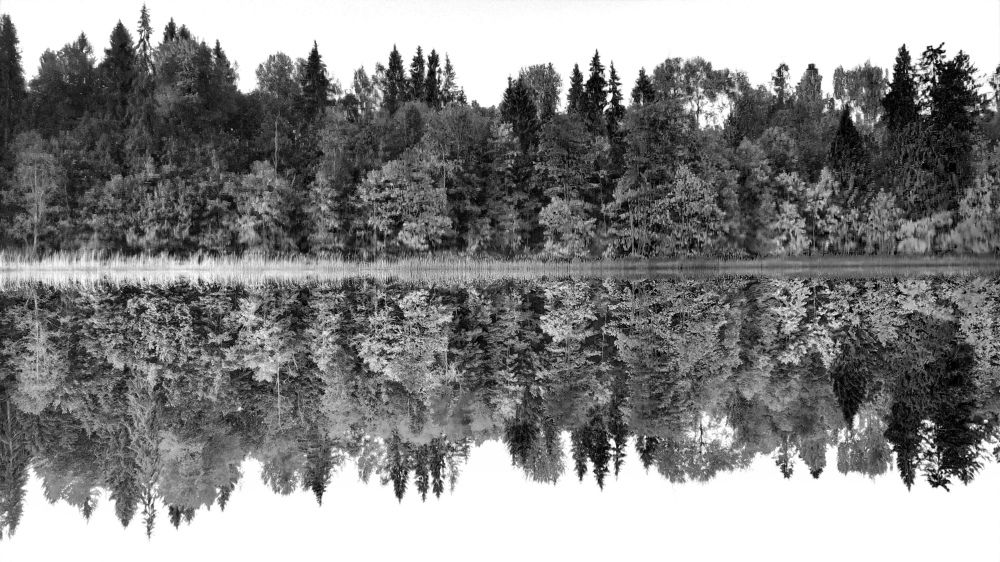 Photograph by Ольга Стоун