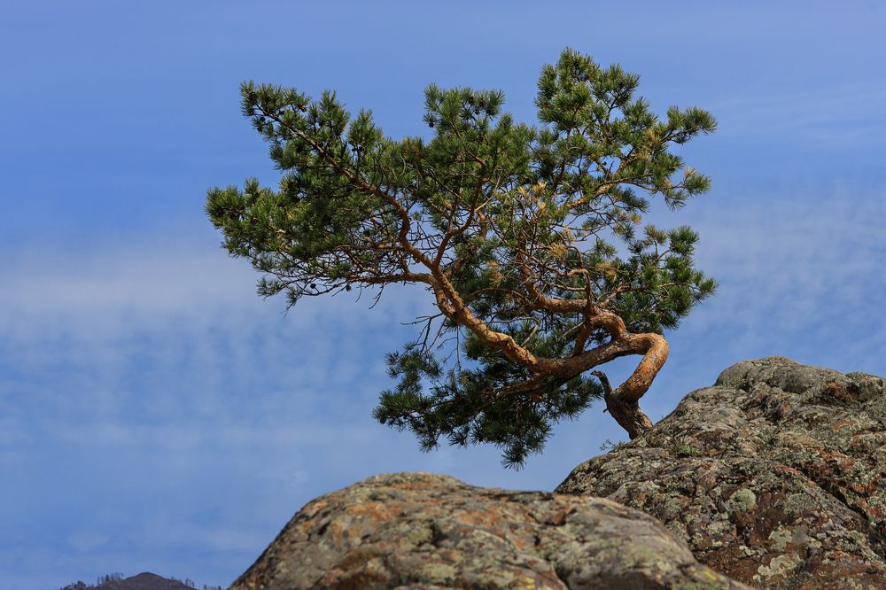 Photograph by виктор ковчин