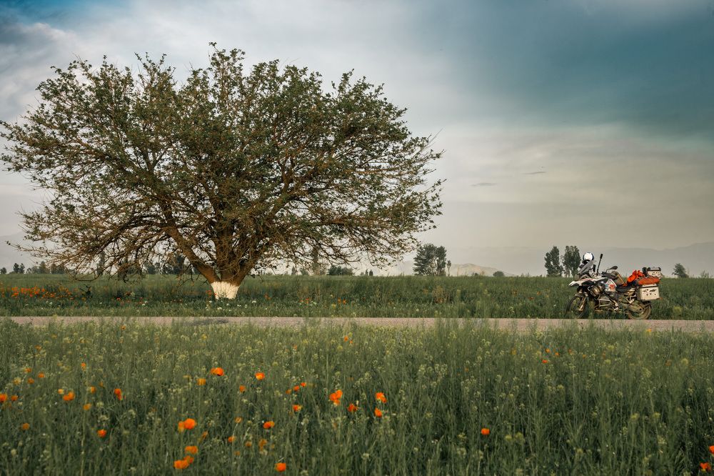 Photograph by Ивлев Артем