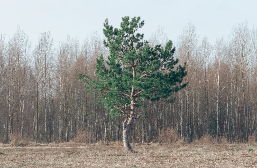 Photograph by Анна Масленникова-Бриль