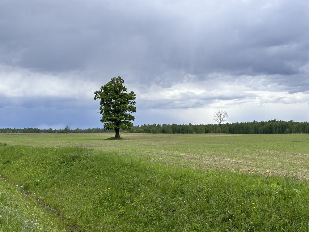 Photograph by Halina Mitsevich