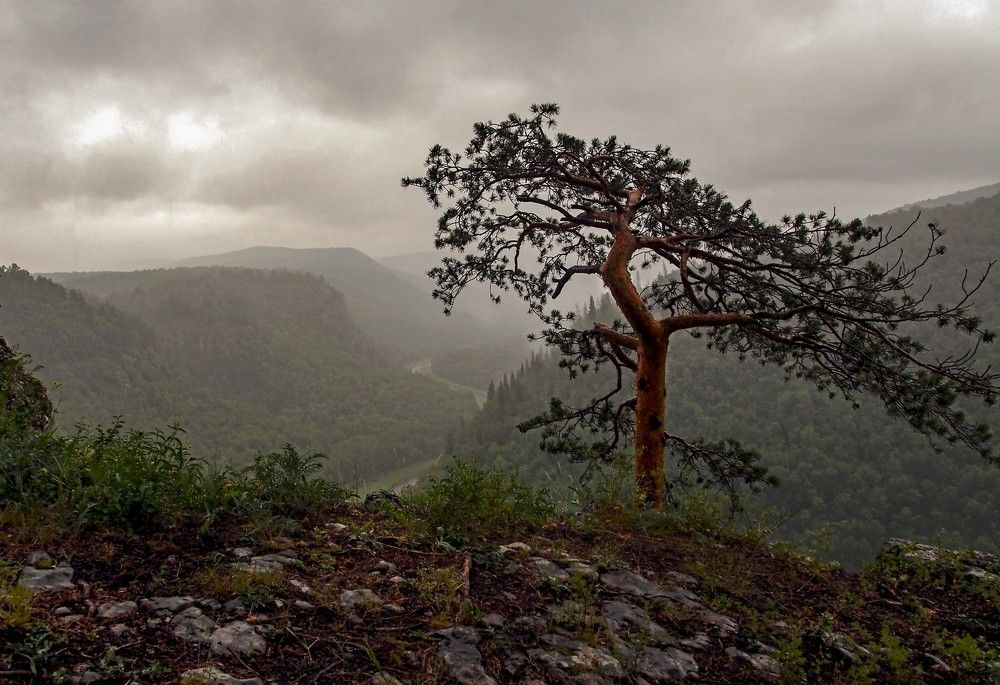 Photograph by Илфир Исламгазин