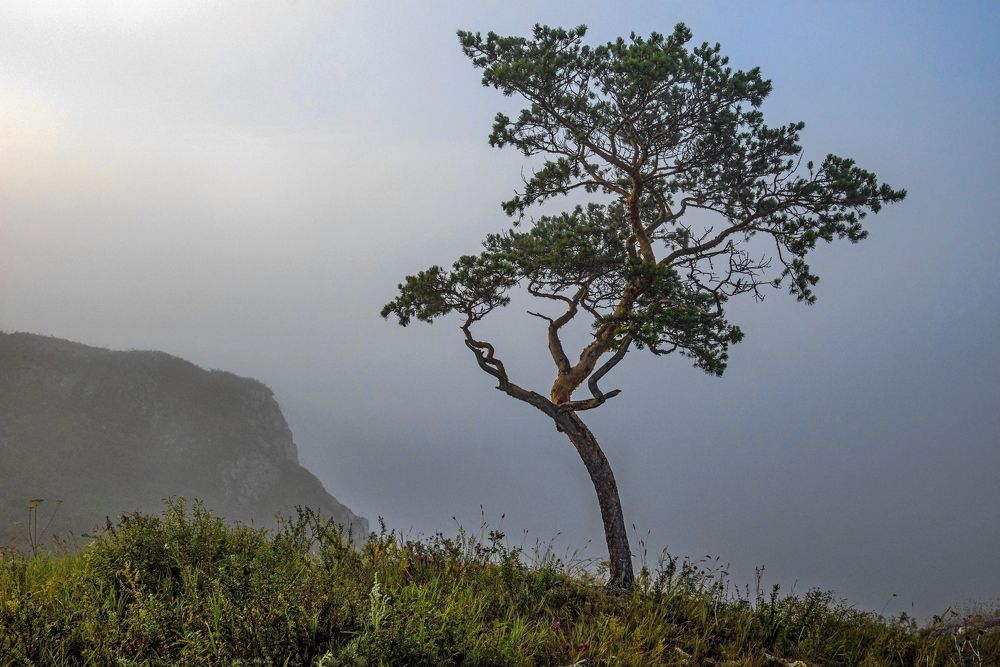 Photograph by Илфир Исламгазин