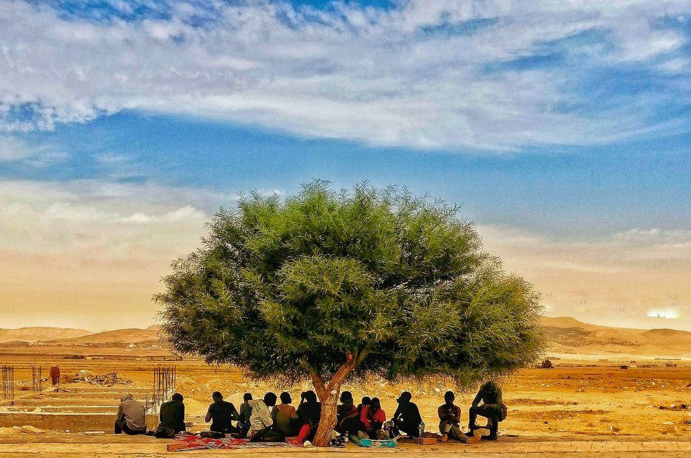 Photograph by MEMMOU Azza