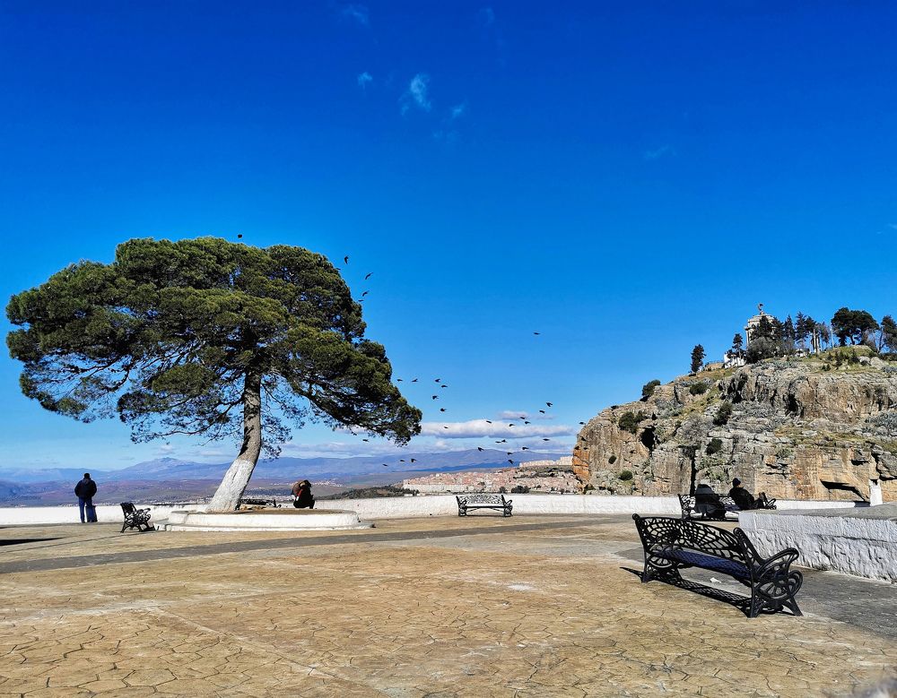 Photograph by MEMMOU Azza