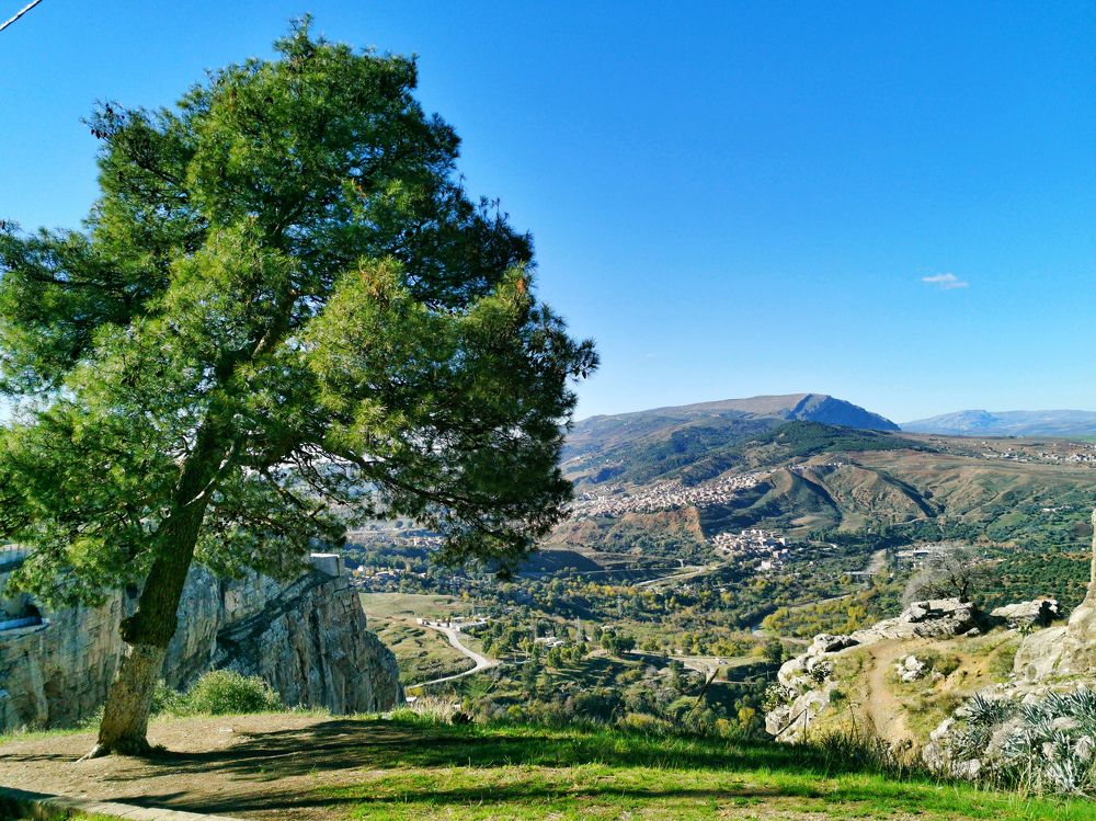 Photograph by MEMMOU Azza