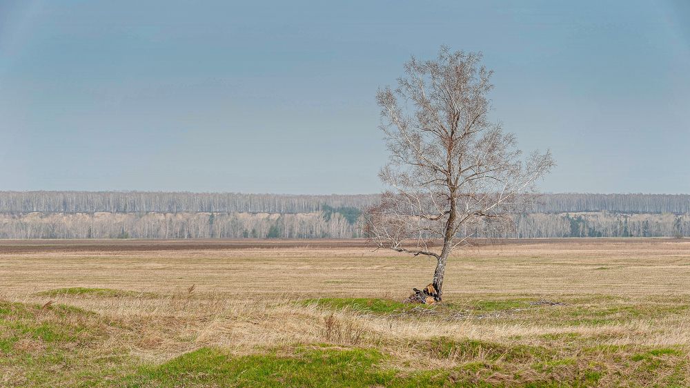 Photograph by Вадим Басов