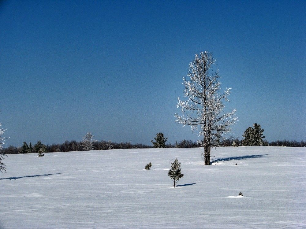 Photograph by Алексей Логинов