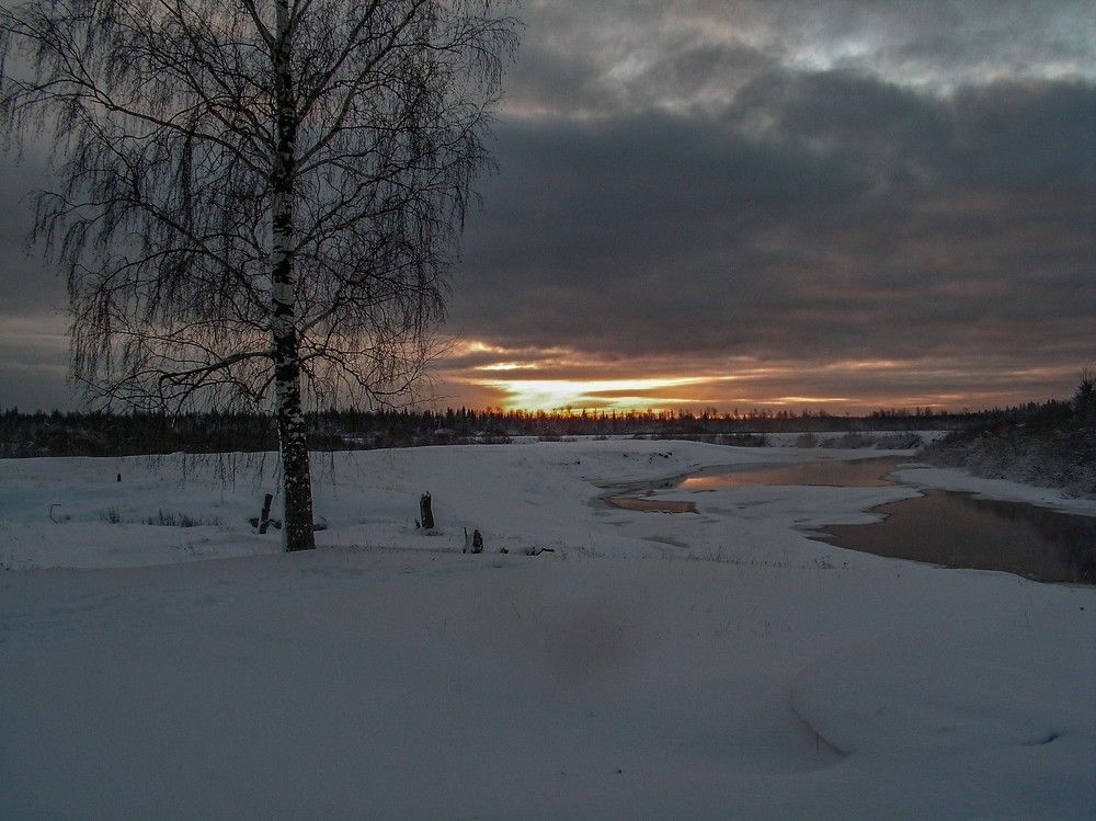 Photograph by Алексей Логинов