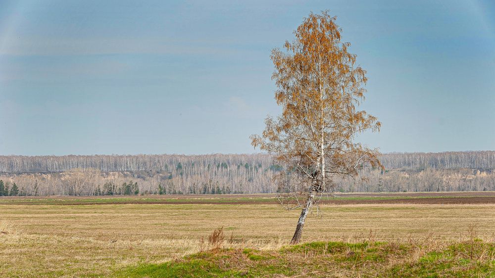 Photograph by Вадим Басов