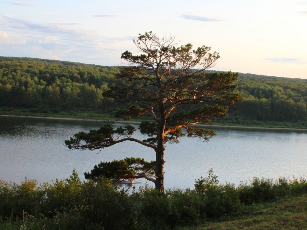 Photograph by Дмитрий Симагин