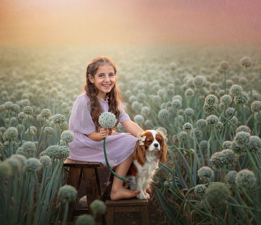 Photograph by Hamutal Avioz