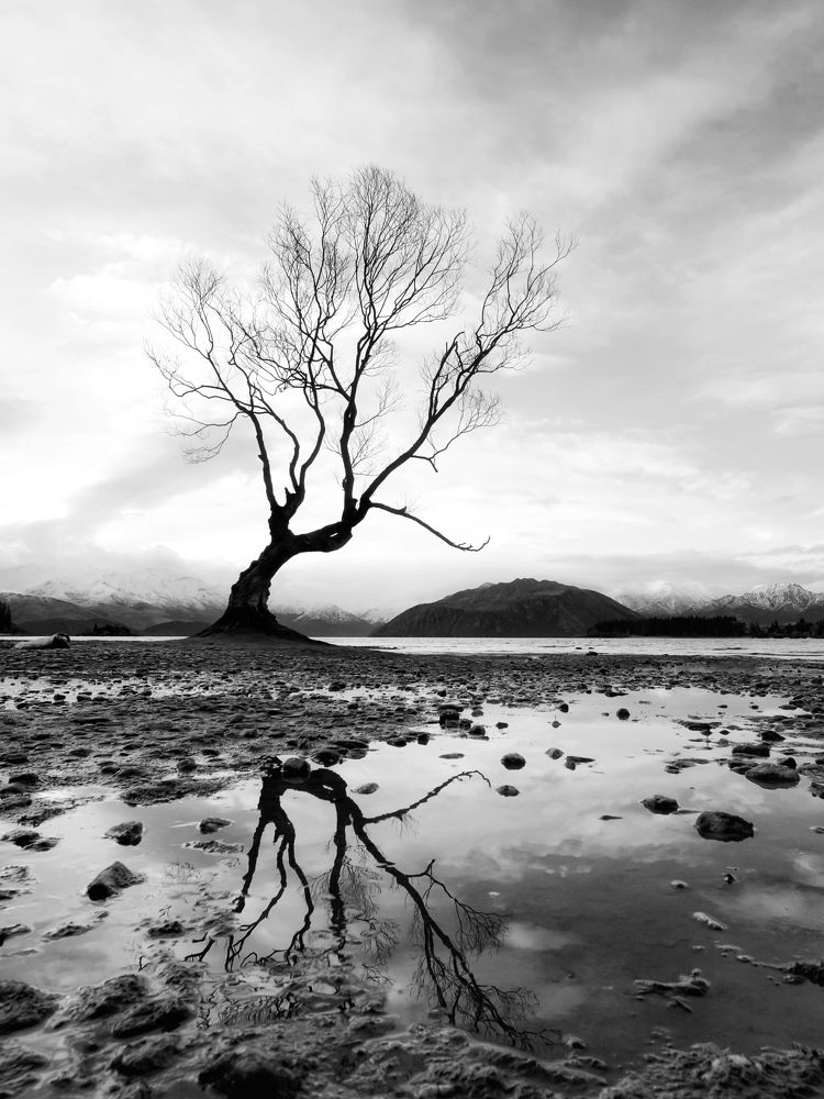 Фотография автора Henri Fitriadi