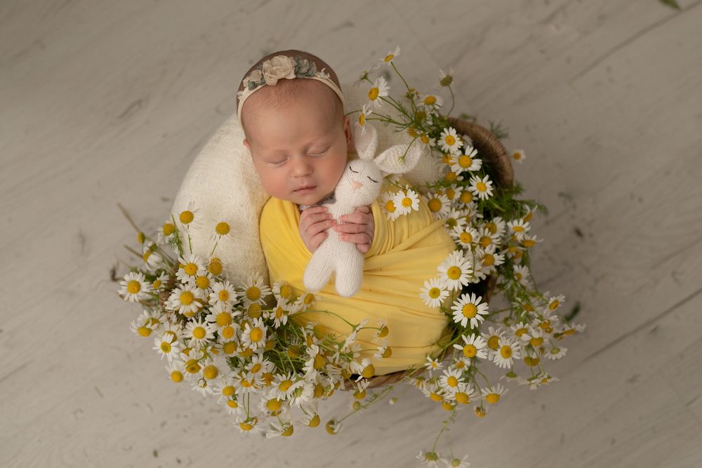 Photograph by Анастасия Гонова