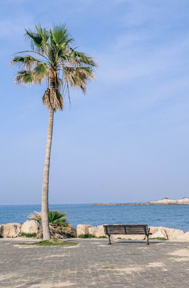 Фотография автора Ольга Забрянская