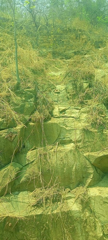 Photograph by Sunil Sharma