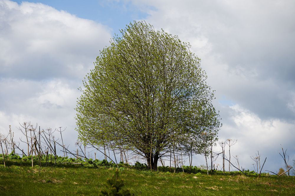 Фотография автора Irina Linina